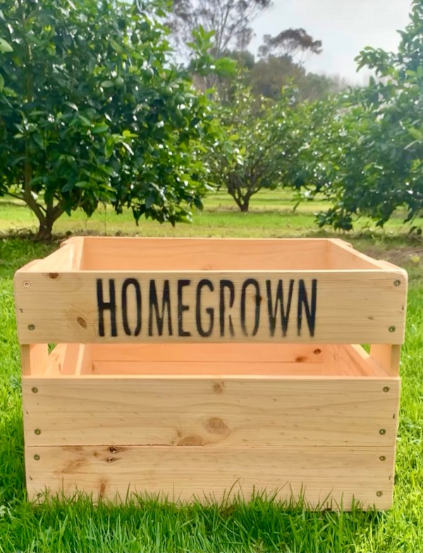 Homegrown Box Vegetable Delivery