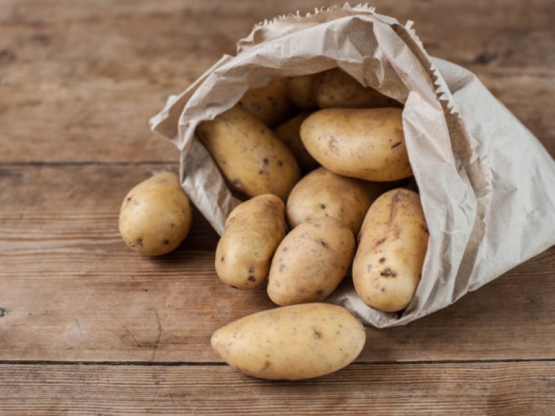 GOURMET SPUDS