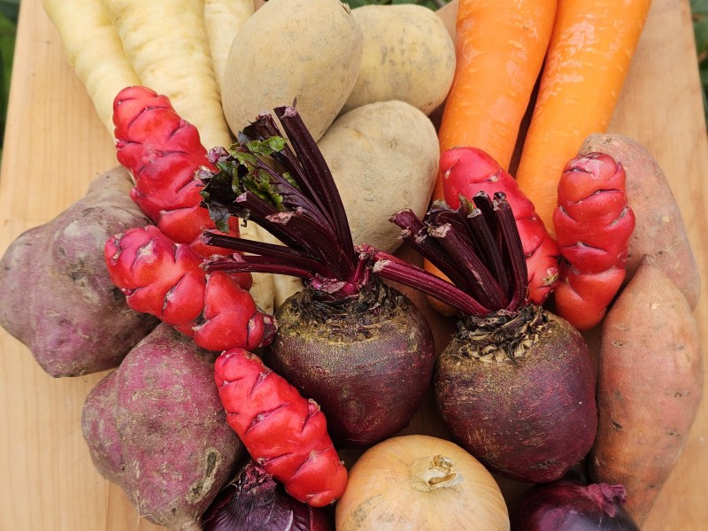 ROOT VEGES v2