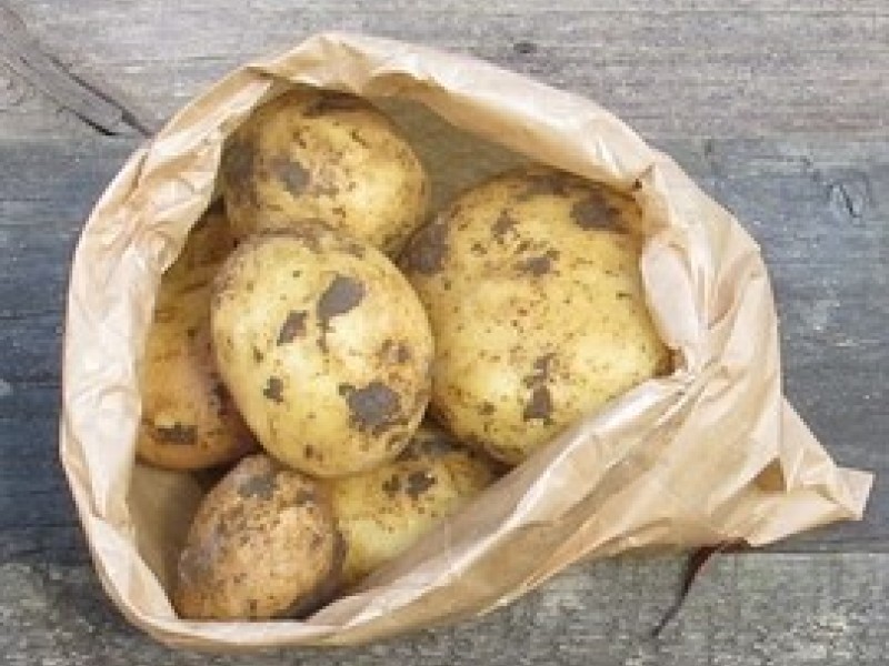 webstore xtra rua potatoes